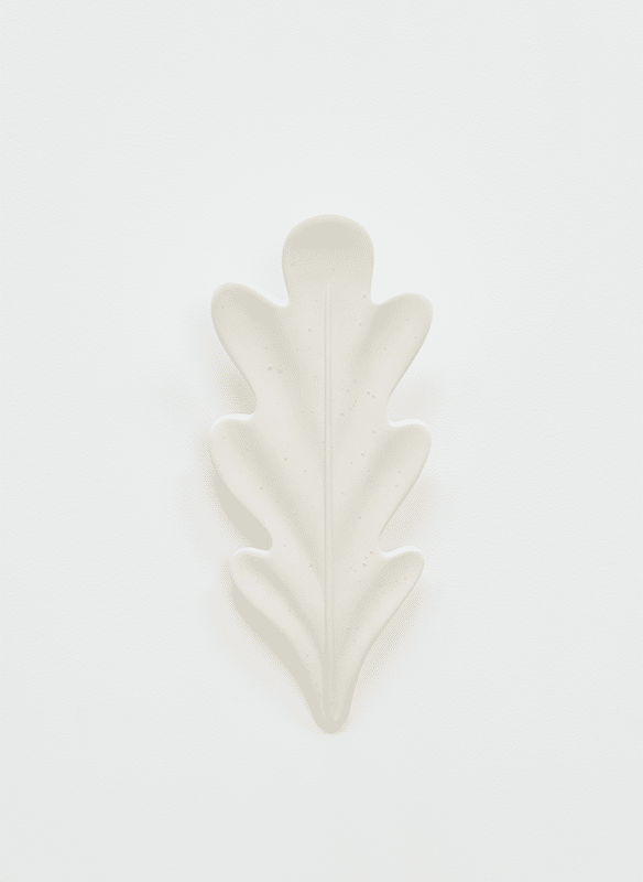 Applique Chêne en plâtre