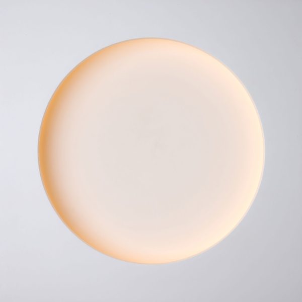 790 - Smooth dome 42