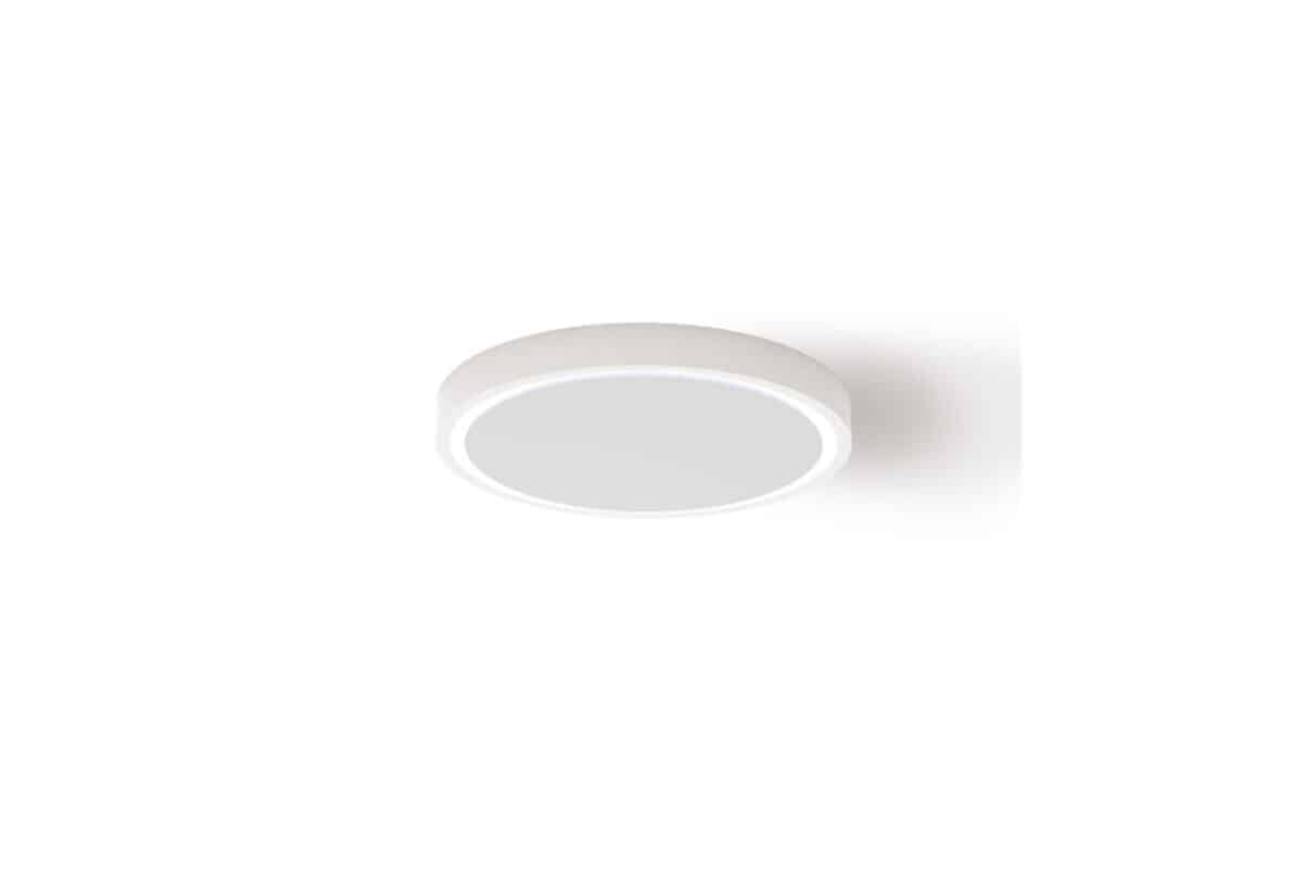 3319