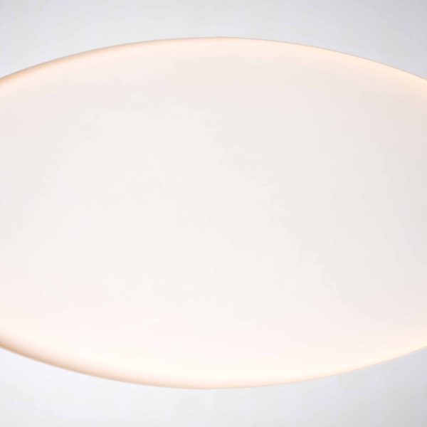 901 - Coupole Lisse Ovale