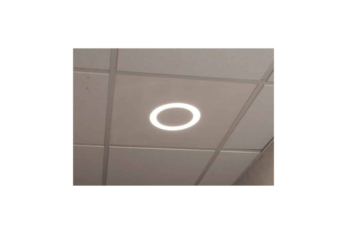 3313