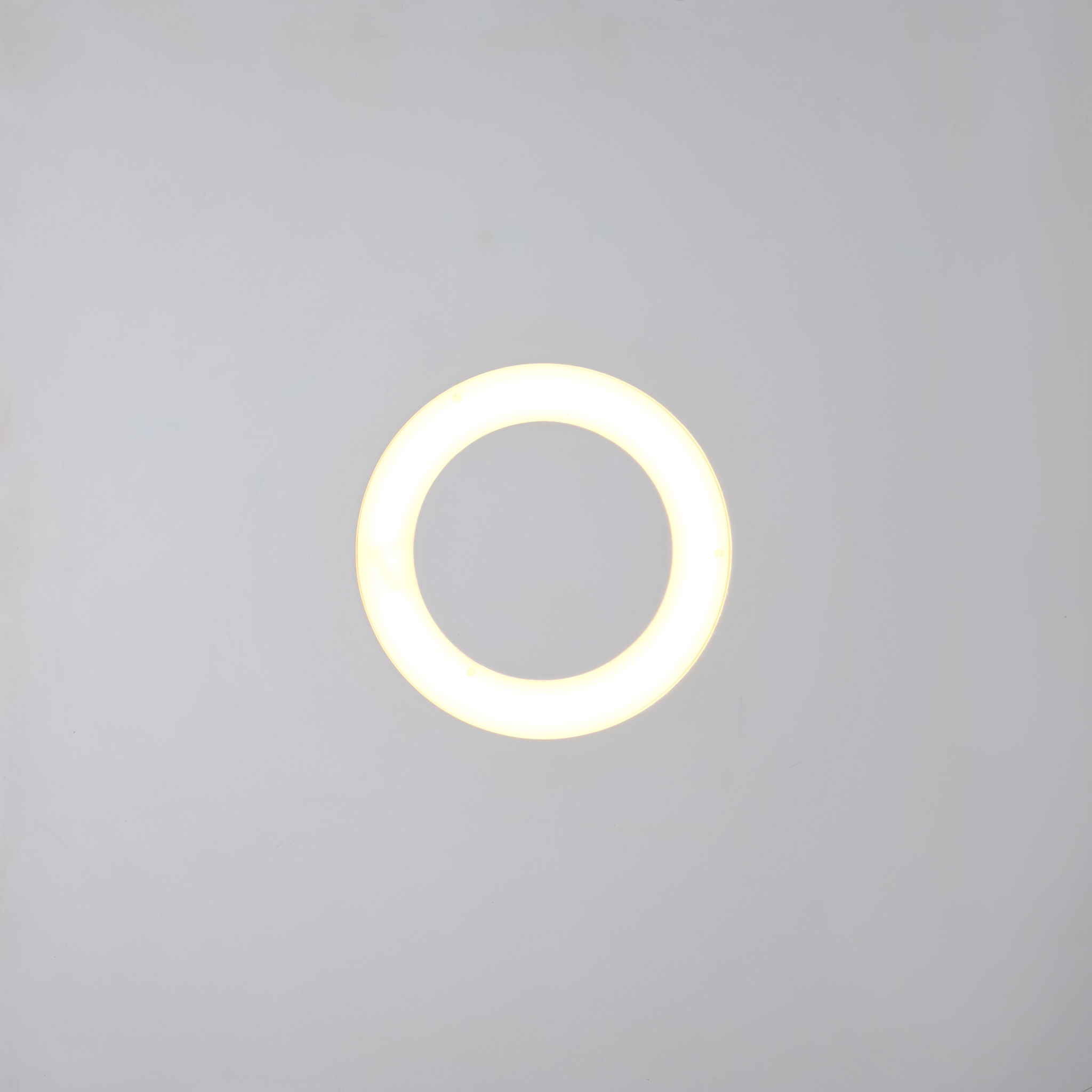 3313 - Circle Tech 20